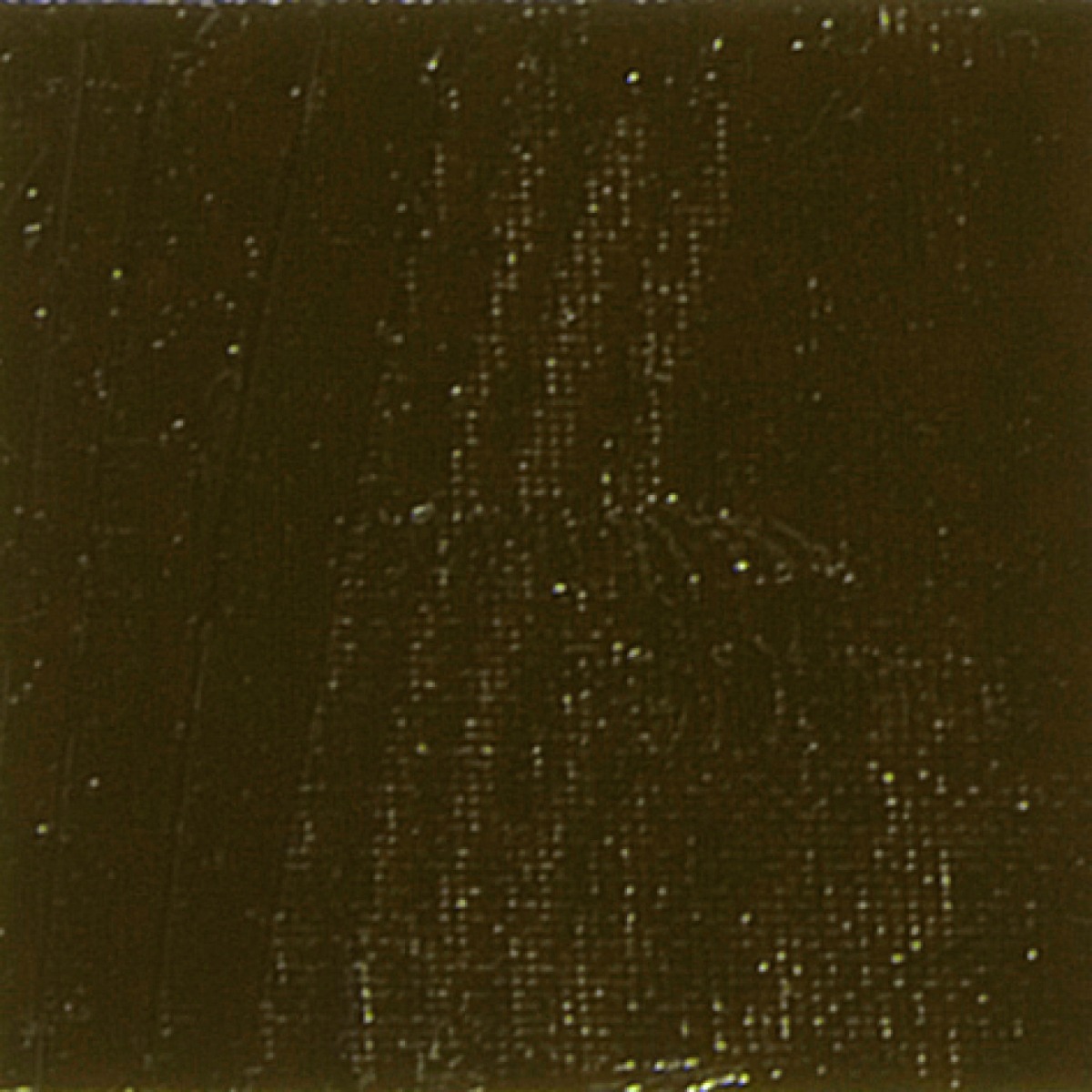 STUDIO XL FINE OIL -  VAN DYCK BROWN(30)